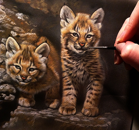 Bobcat Kittens Watercolor Painting in Progress - Rebecca Latham