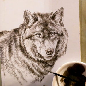 New Black Wolf Painting, Sepia Stage, Rebecca Latham