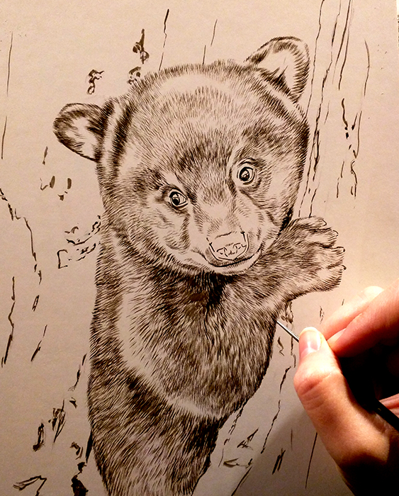Peek In The Studio – New Year New Sepias: Wolf, Bear, & Raccoon