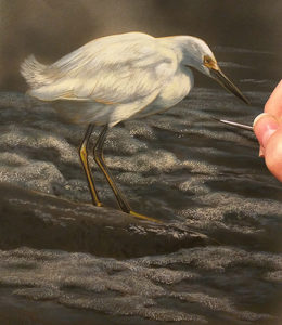 Snowy Egret - New Watercolor Painting by Rebecca Latham