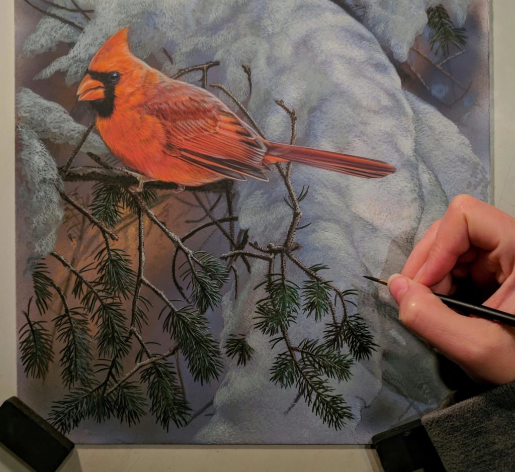 Cardinal in Snow Work in Progress, Watercolor, Rebecca Latham