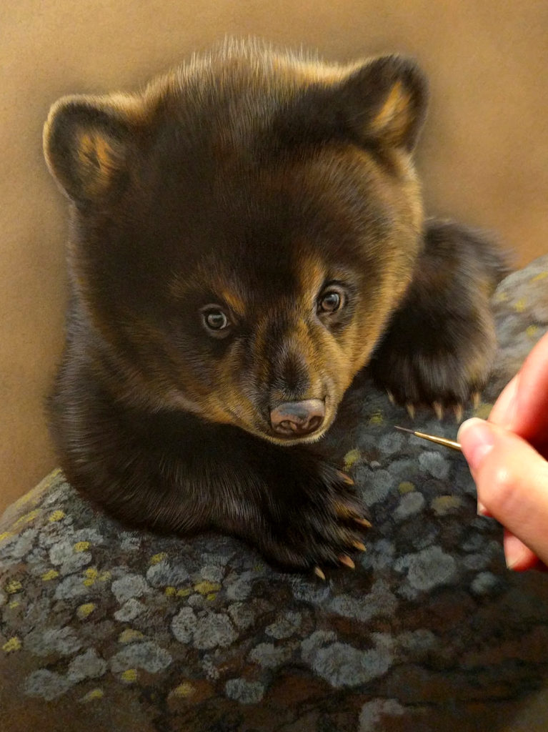 Bear cub watercolor work in progress Rebecca Latham