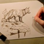 Red Fox, 6x8, Works in Progress, Sepai stage watercolor, Rebecca Latham