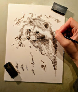 Raccoon, 6x8, Works in Progress, Sepai stage watercolor, Rebecca Latham