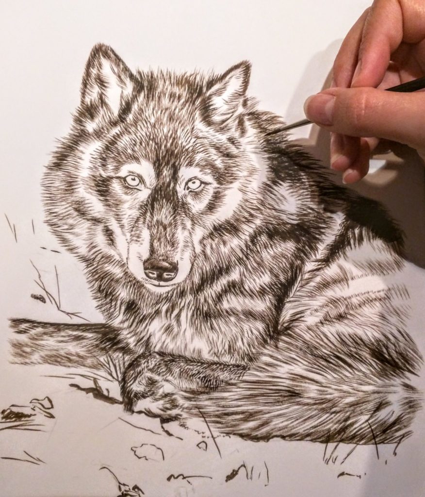 Peek In The Studio: Wolves – Rebecca Latham