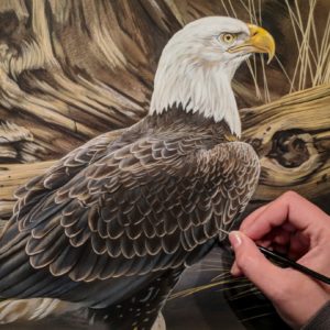 Peek In The Studio: Eagle Progress