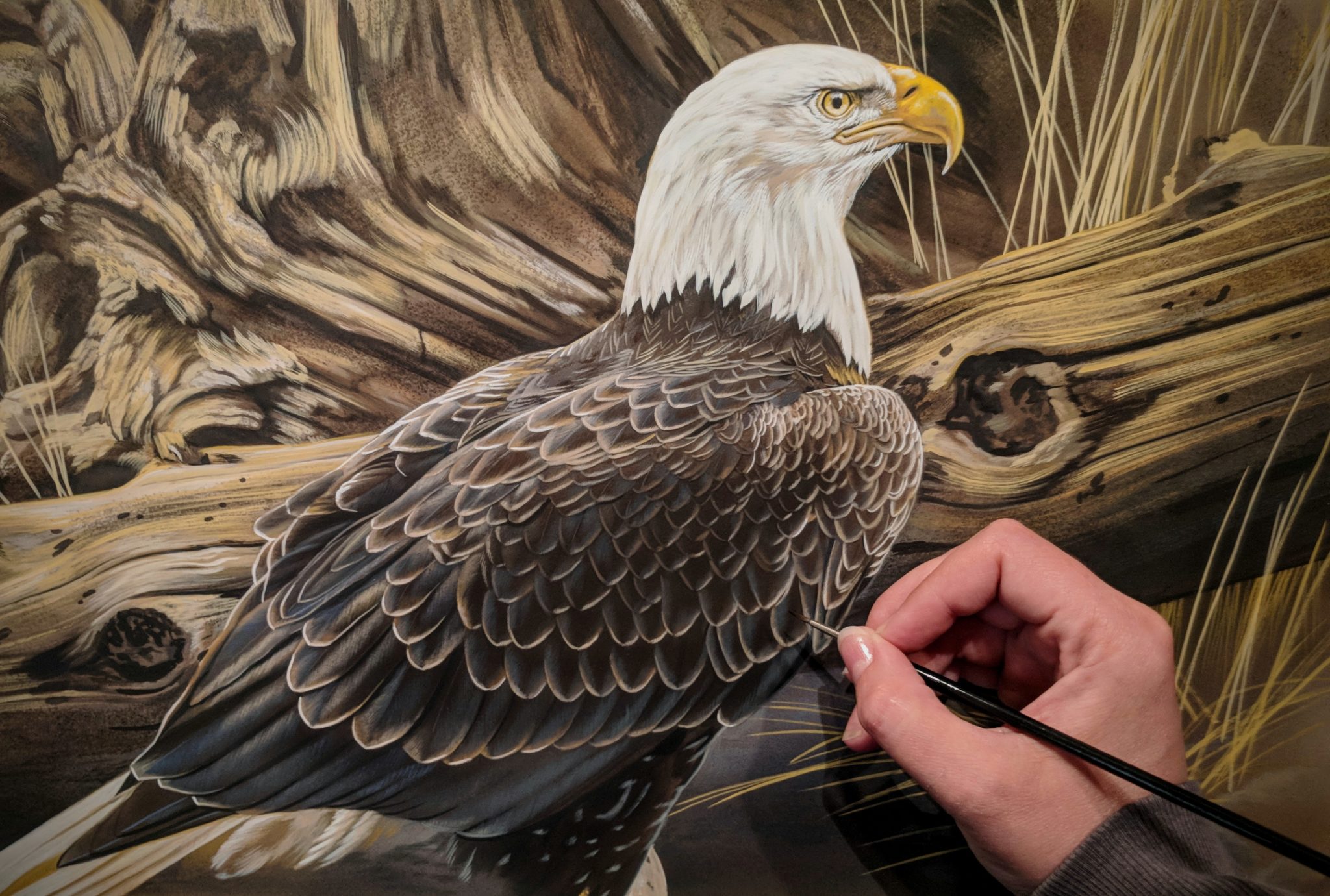 Eagle work in progress, watercolor on board, ©Rebecca Latham