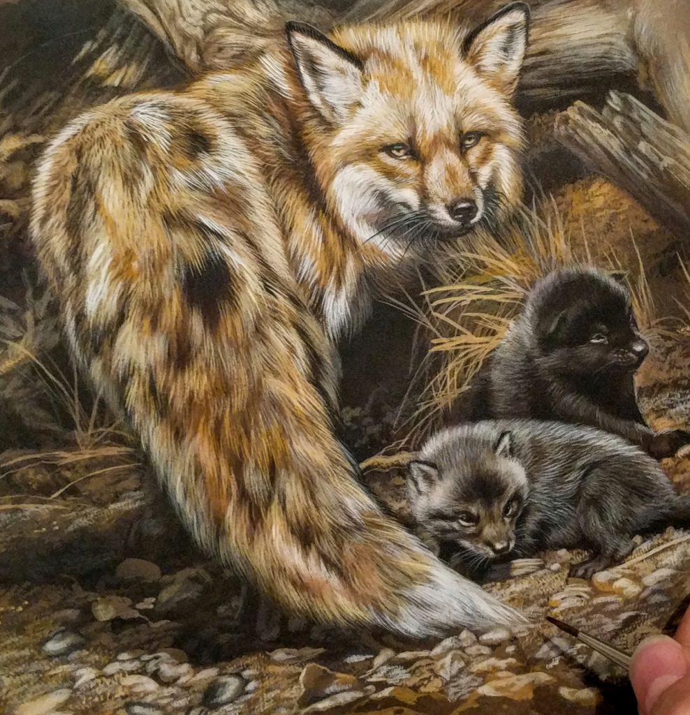 Red Fox and Kits, Rebecca Latham, Watercolor on board