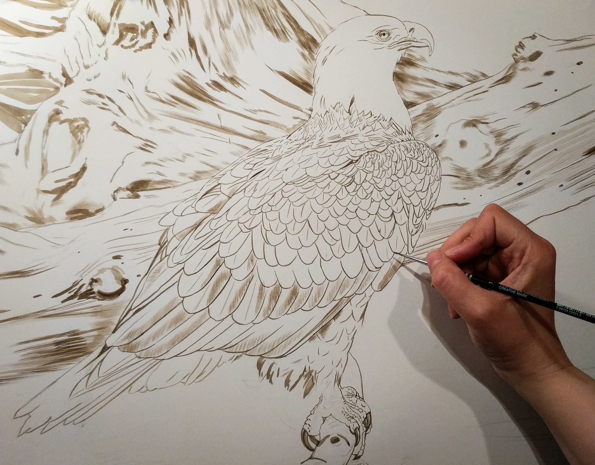 Eagle work in progress, watercolor on board, ©Rebecca Latham