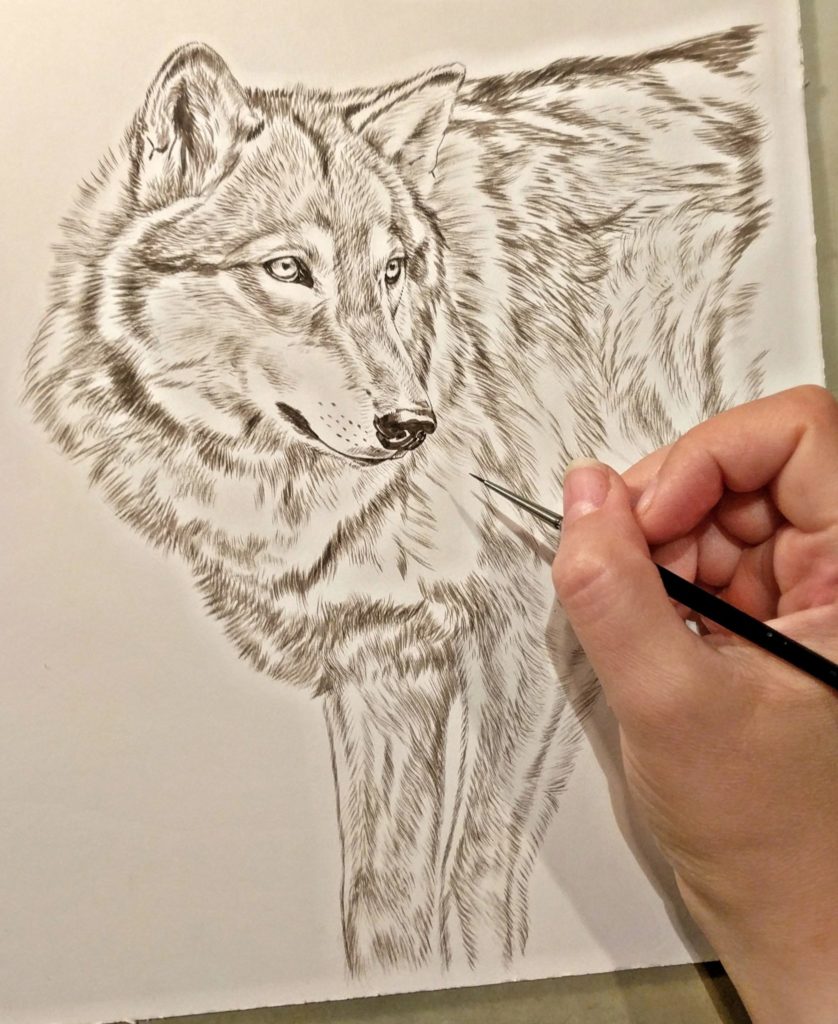 Peek In The Studio: Wolves – Rebecca Latham