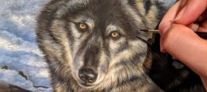 Winter Black Wolf Painting by Rebecca Latham