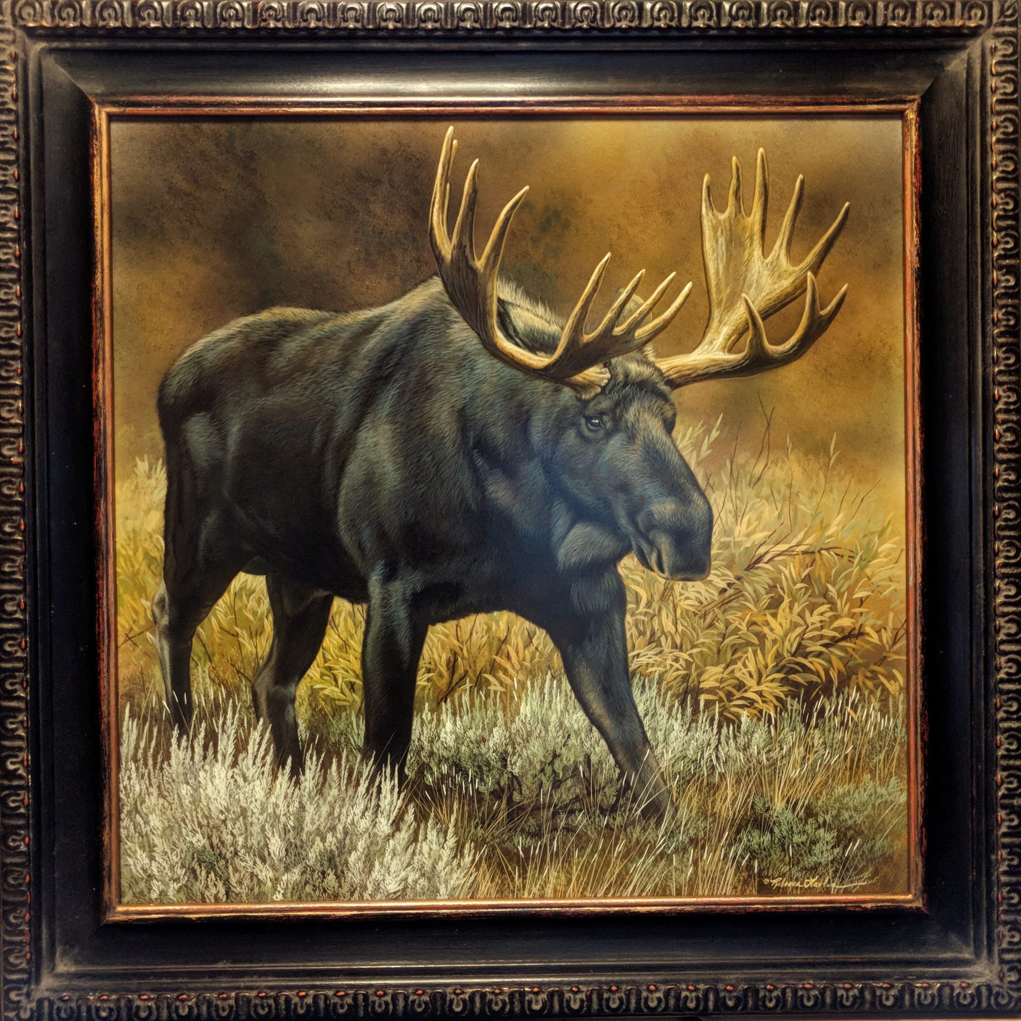 Moose in the Teton Valley: A Clash of Strength and Territory