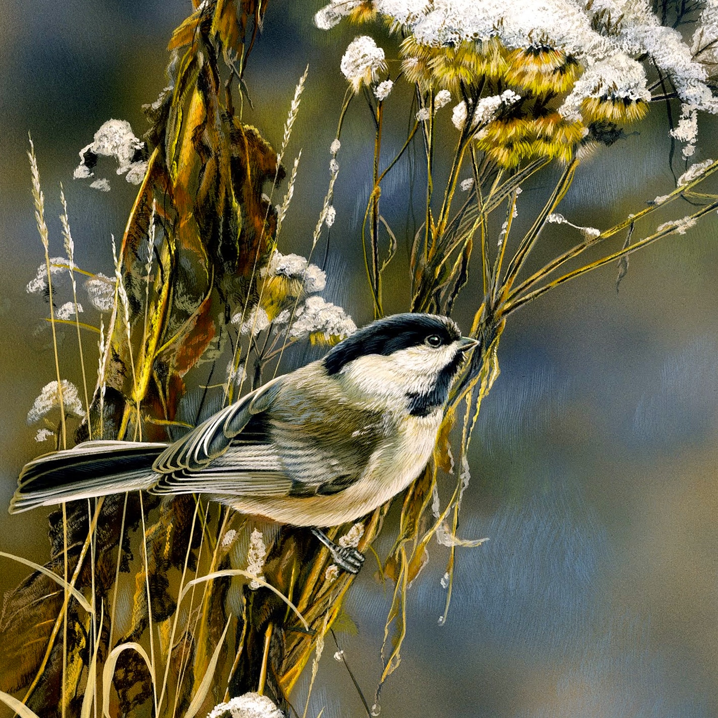 Nature’s Palette: Capturing Minnesota’s Wildlife