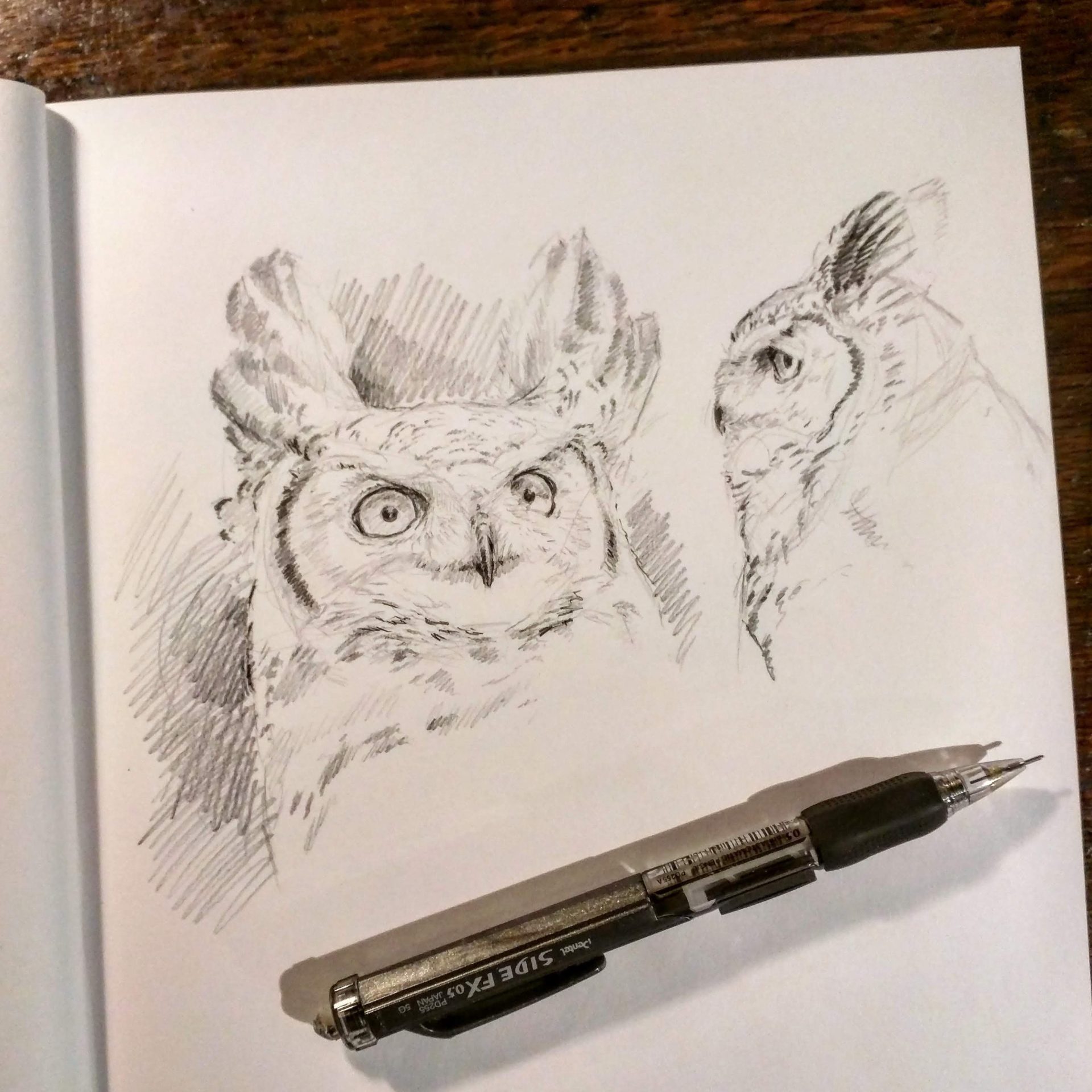owl face pencil drawing