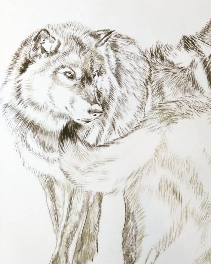 Wolf Pack – Rebecca Latham