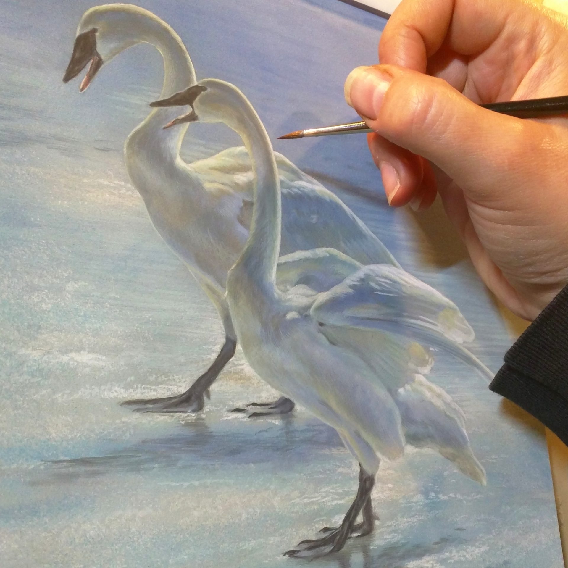 Nature’s Sanctuary: A Haven of Peace in a Turbulent World