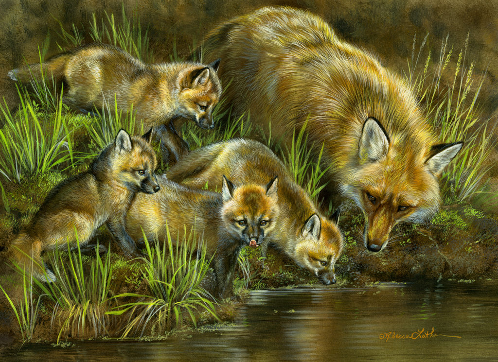 Red Fox Family watercolor by Rebecca Latham