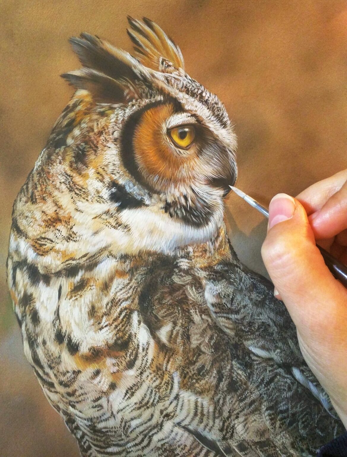 Great Horned Owl – Rebecca Latham