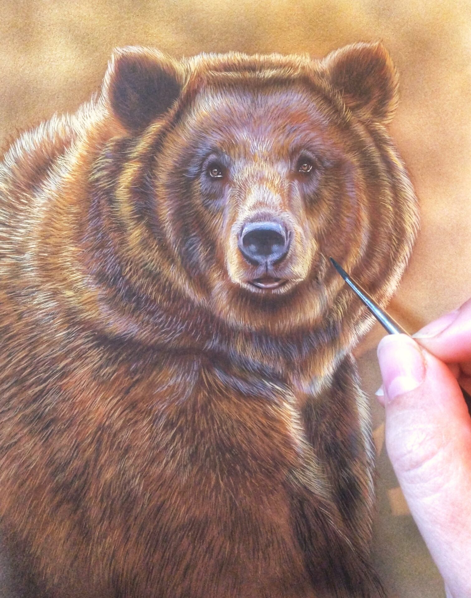 Grizzly Bear Watercolor