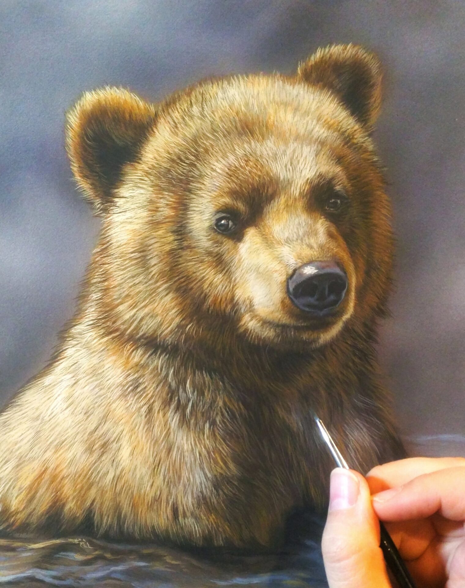 Grizzly Bear Cub - Rebecca Latham