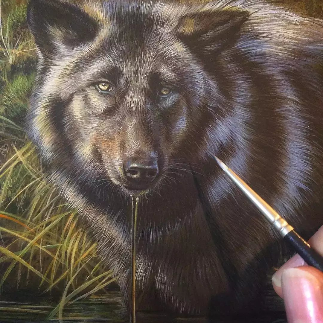 Black Wolf Miniature Painting, opaque & transparent watercolor on board, Rebecca Latham
