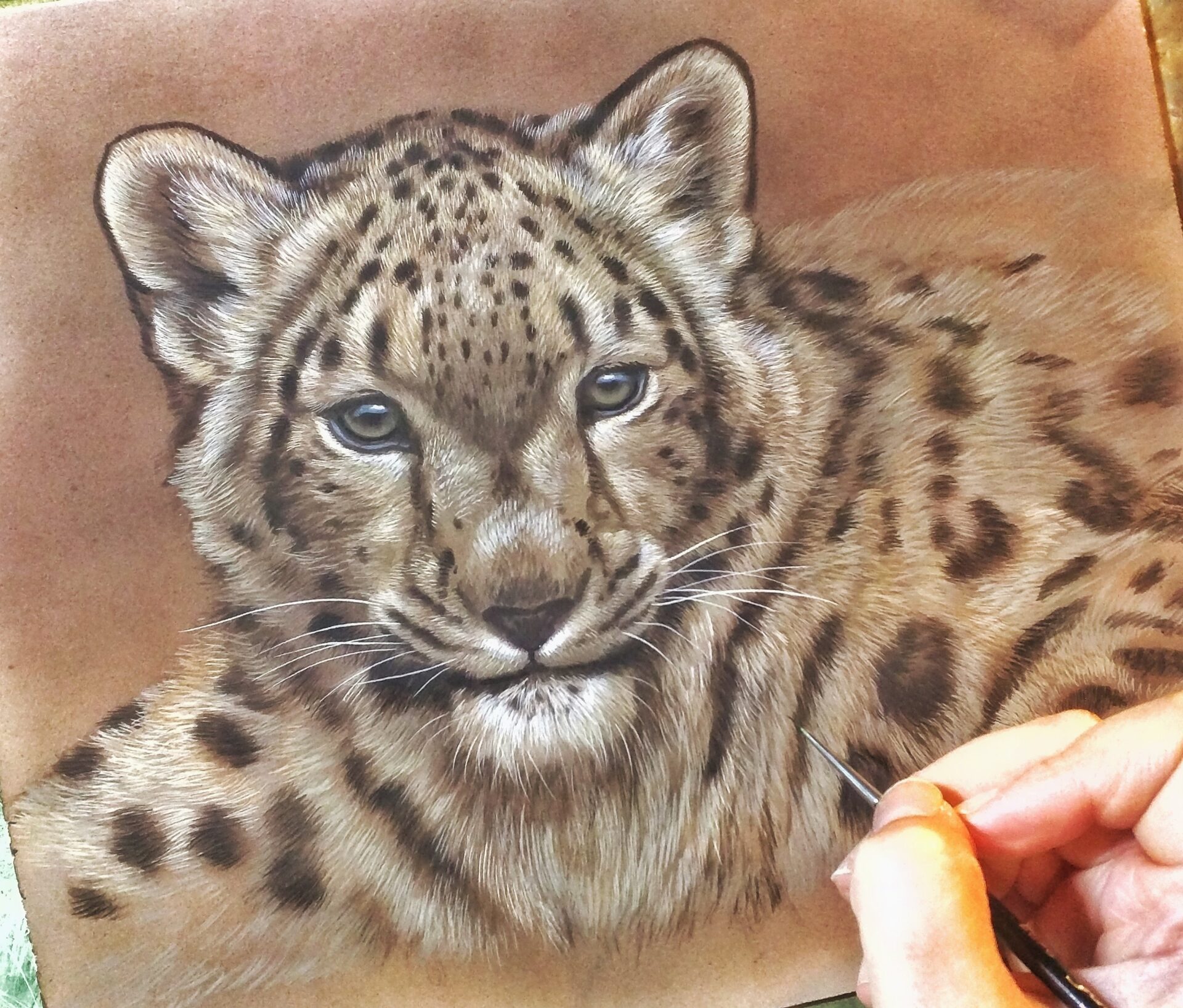 Snow Leopard in Progress