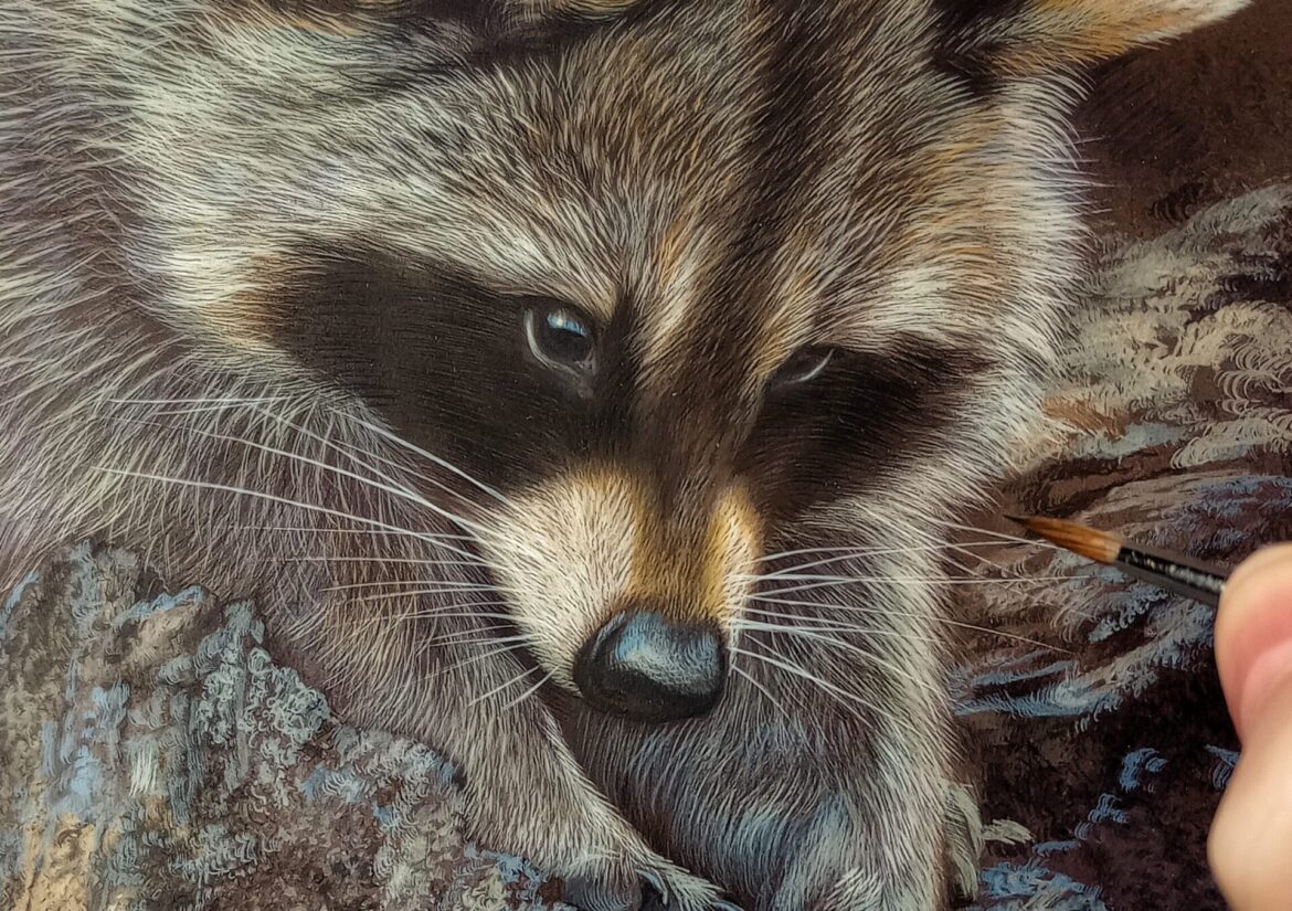 Reaching Out – Raccoon in Progress