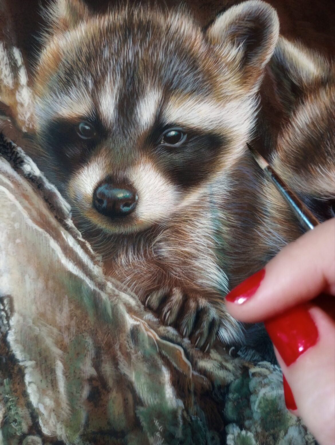 Raccoon kit, Opaque & transparent watercolor on museum board, Rebecca Latham