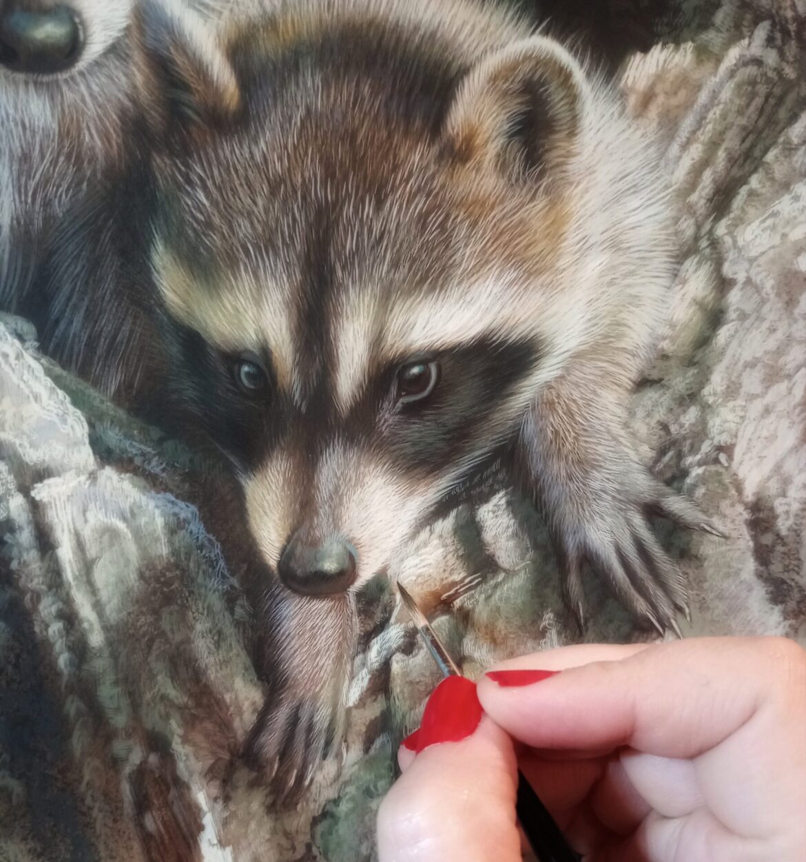 Nature’s Delight: Raccoon Kits in Watercolor