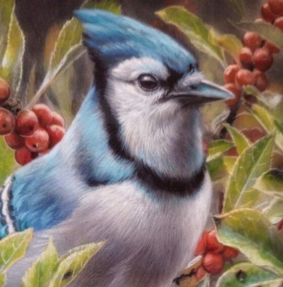 Nature’s Delight: A Blue Jay’s Haven