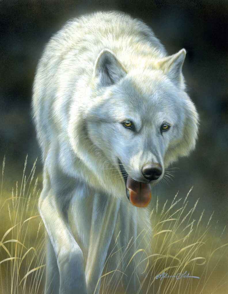 Graceful Strides - White Wolf