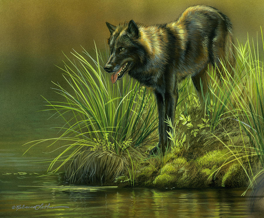 Pond's Edge Lookout - Black Wolf Rebecca Latham