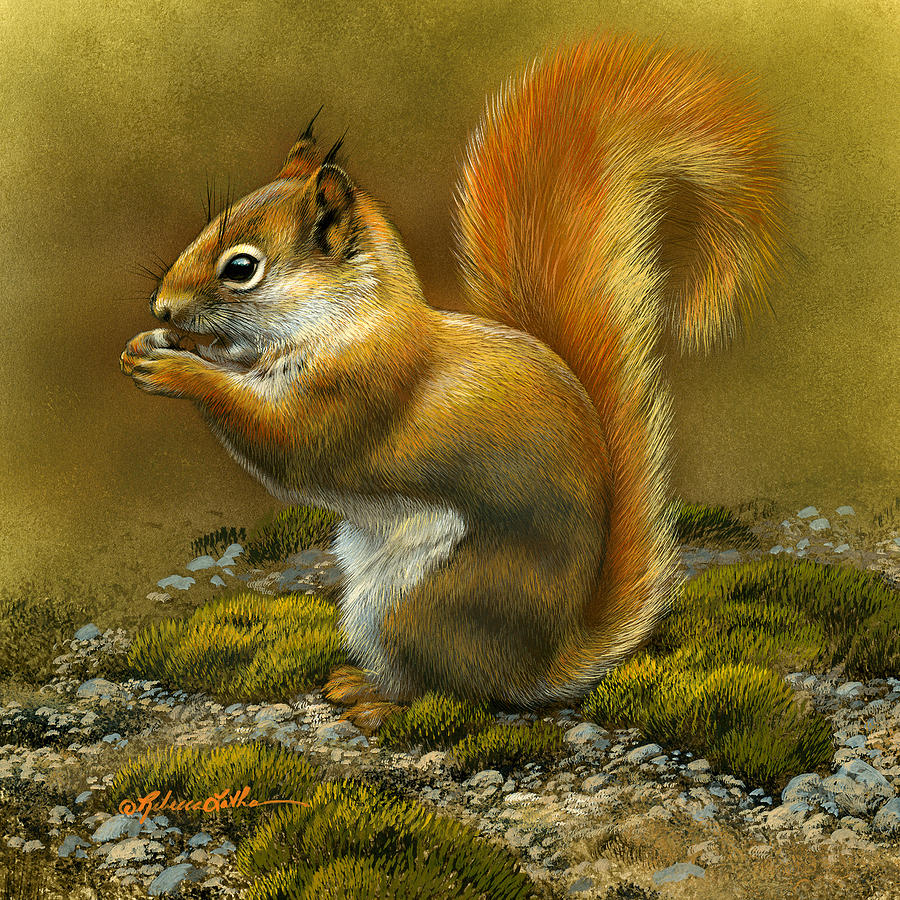 Afternoon Snacks - Red Squirrel II by Rebecca Latham