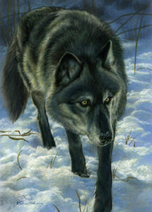 Winter Trail - Wolf, Rebecca Latham, Opaque & transparent watercolor on museum board