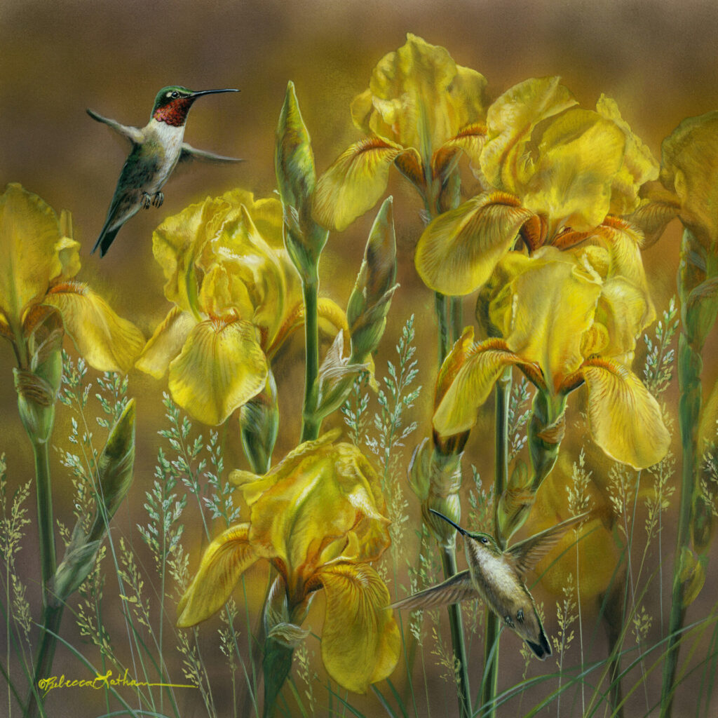 Sunlit Symphony Ruby-throated Hummingbirds, Rebecca Latham, Opaque & transparent watercolor on museum board