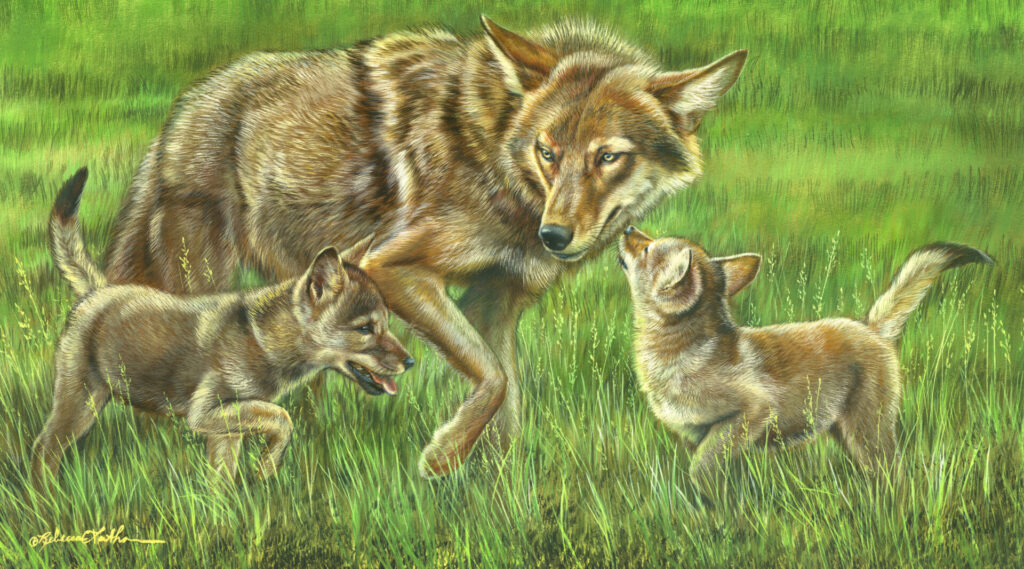 Springtime Romp - Coyote Family, 10.5”x18.5” Opaque & transparent watercolor on museum board, Rebecca Latham