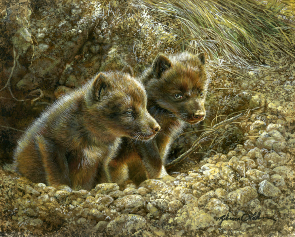Sunbeam Explorers - Wolf Pups, 8" x 10", Opaque & transparent watercolor on museum board, Rebecca Latham