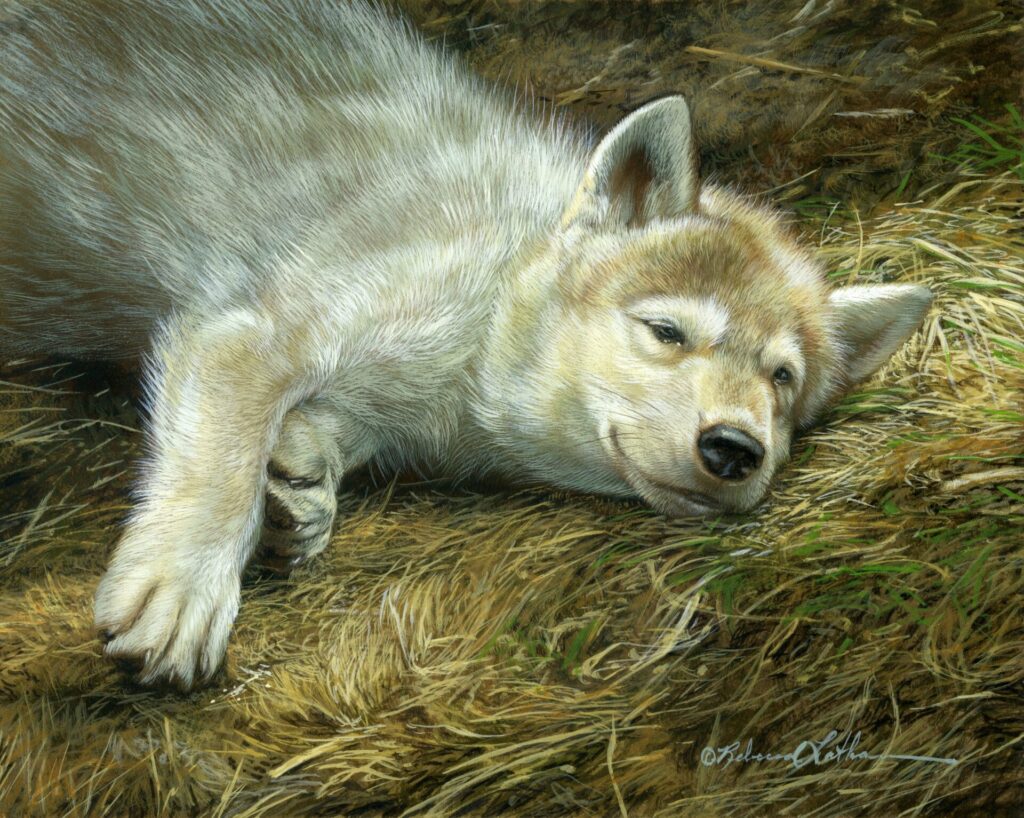 Dappled Dreams - Wolf Pup, 8" x 10", Opaque & transparent watercolor on museum board, Rebecca Latham