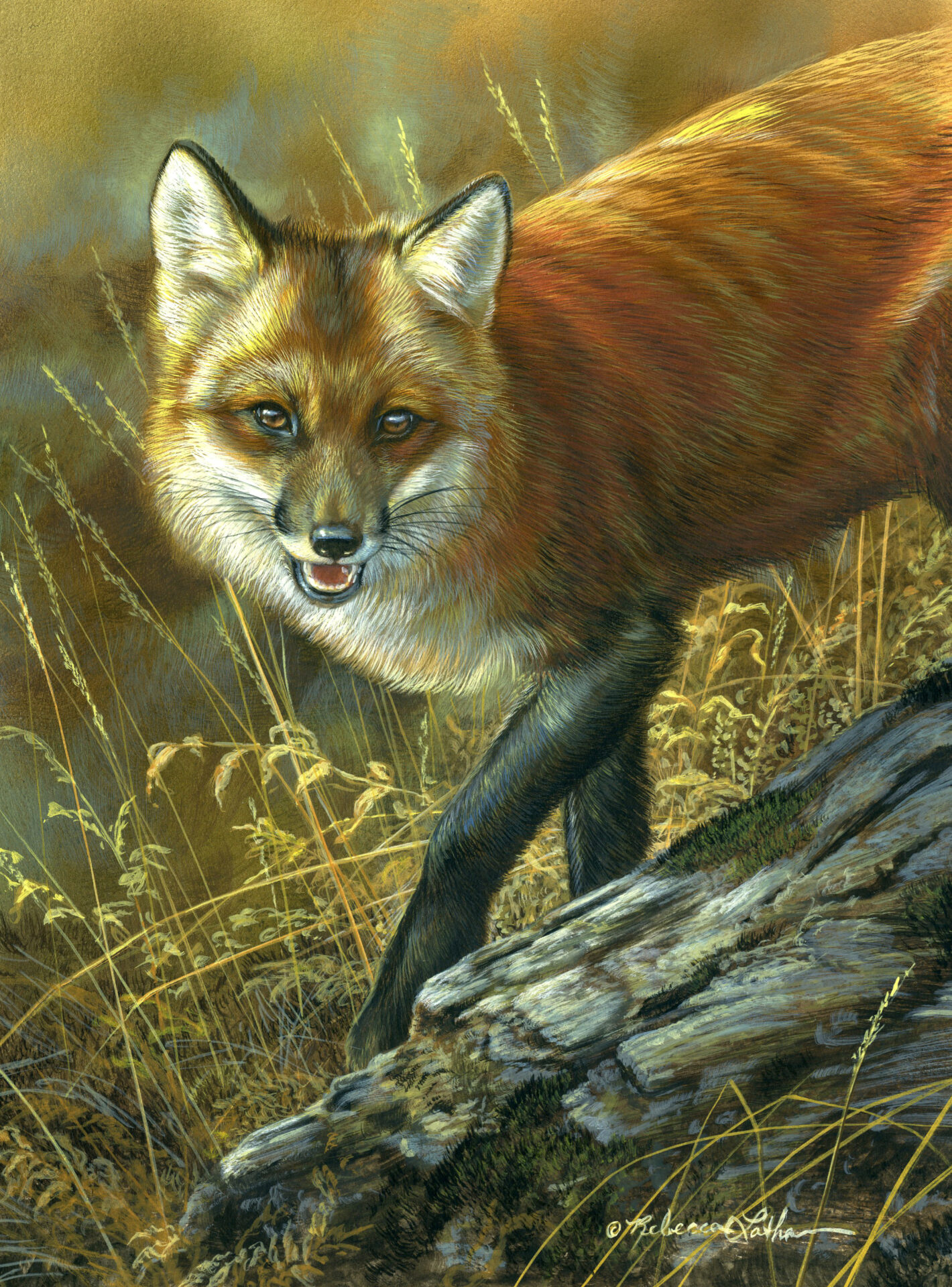 The Emotional Power of Nature: How Rebecca Latham Captures Wildlife Spirit