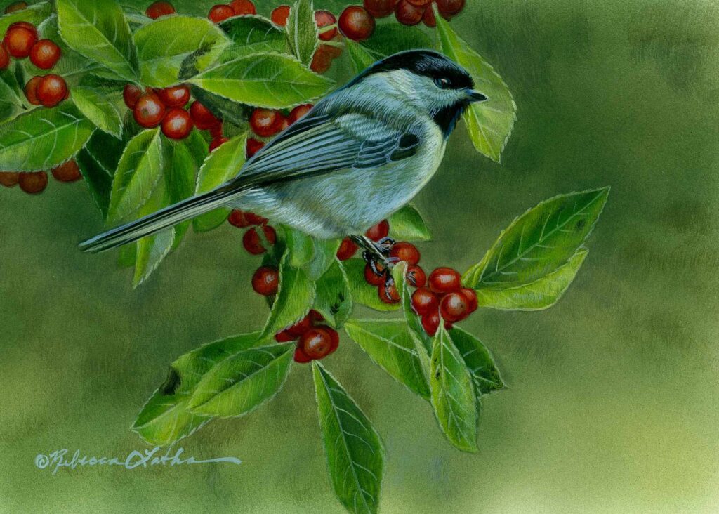 Berry Whispers - Chickadee, Opaque & transparent watercolor on museum board, Rebecca Latham