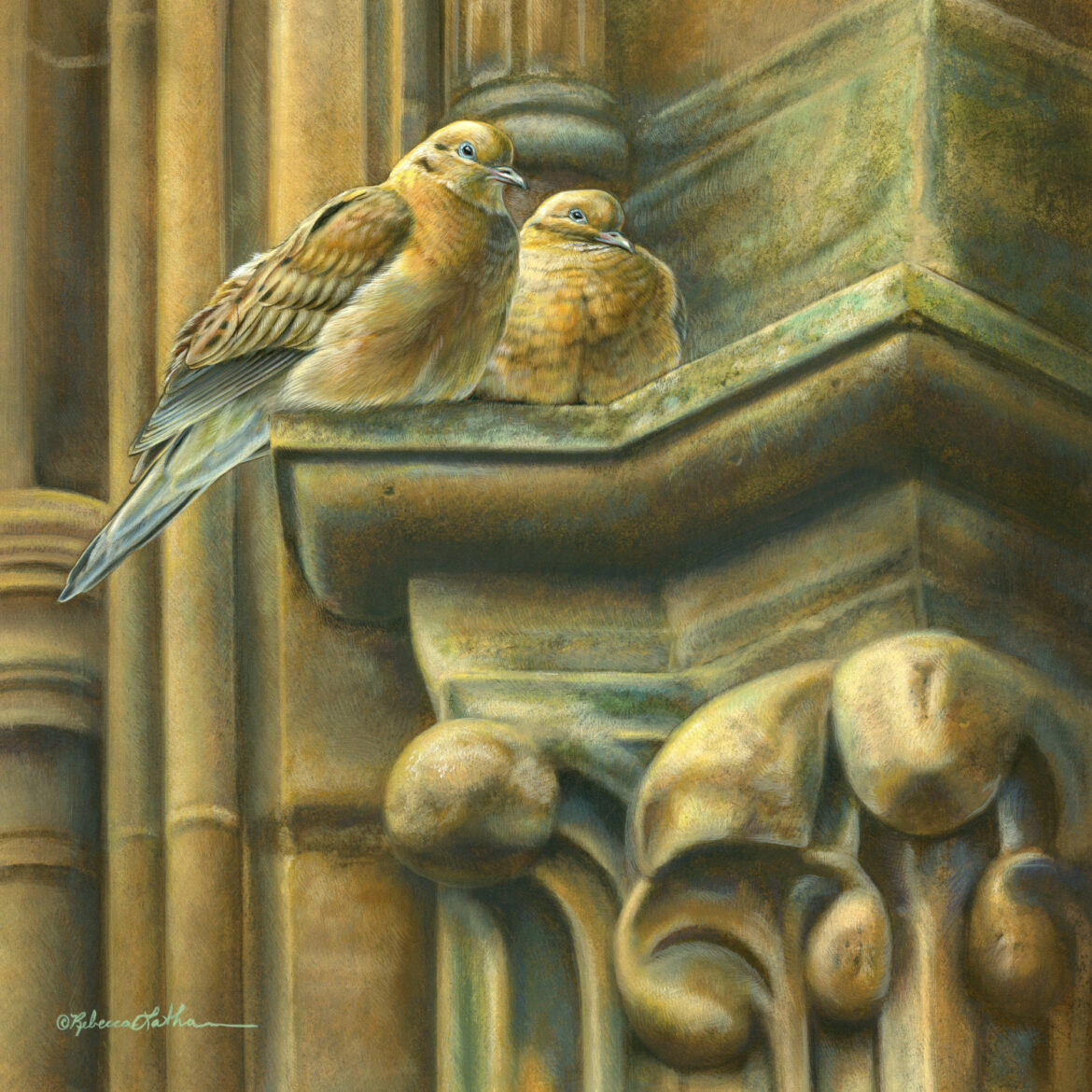 Silent Companions - Doves, Opaque & transparent watercolor on museum board, Rebecca Latham