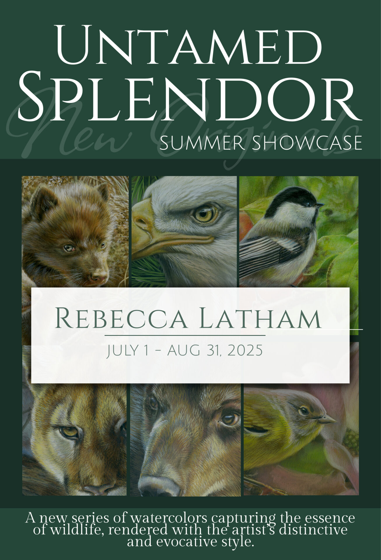 Untamed Splendor Summer Showcase, Paintings of wildlife in watercolor by Rebecca Latham