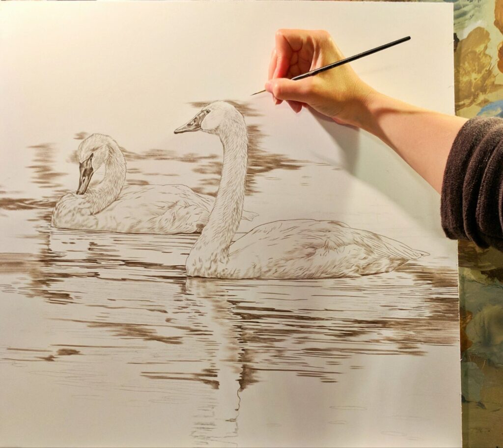 Swans in progress, Rebecca Latham, Opaque & transparent watercolor on museum board