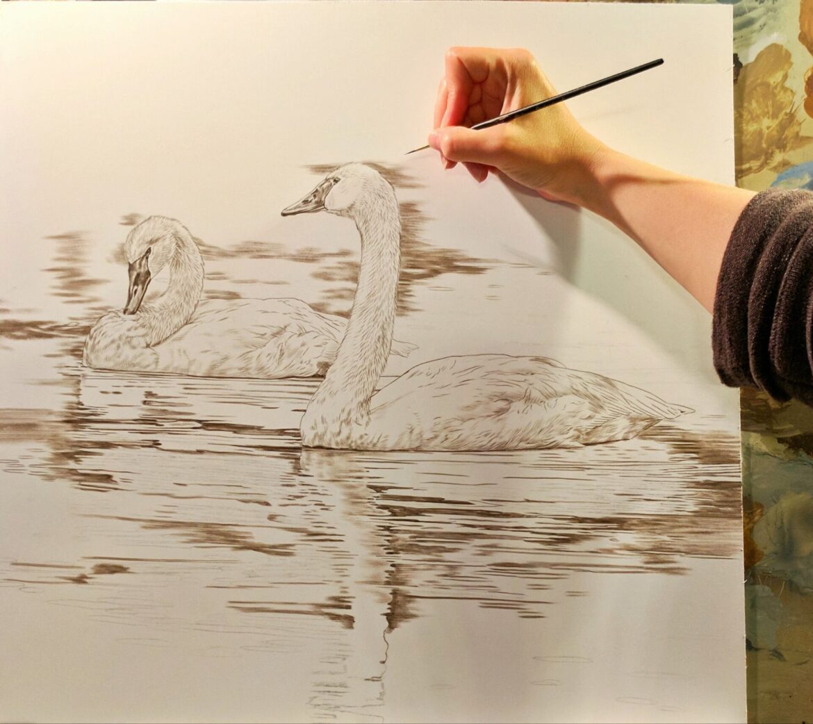 Swans in progress, Rebecca Latham, Opaque & transparent watercolor on museum board