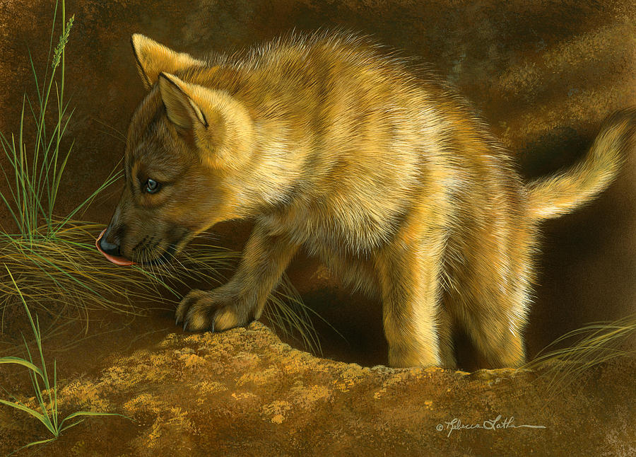 Snack Patrol - Wolf Pup, Opaque & transparent watercolor on museum board, Rebecca Latham