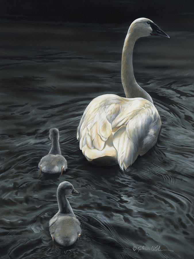 Tag Alongs - Trumpeter Swans, Opaque & transparent watercolor on museum board, Rebecca Latham