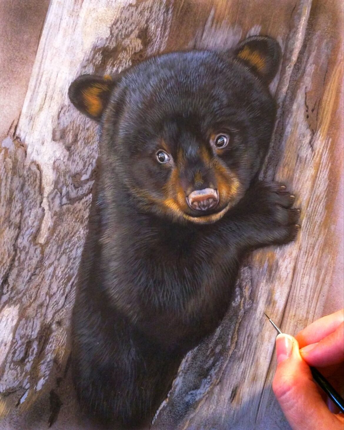 Bear Cub, Rebecca Latham, Opaque & transparent watercolor on museum board