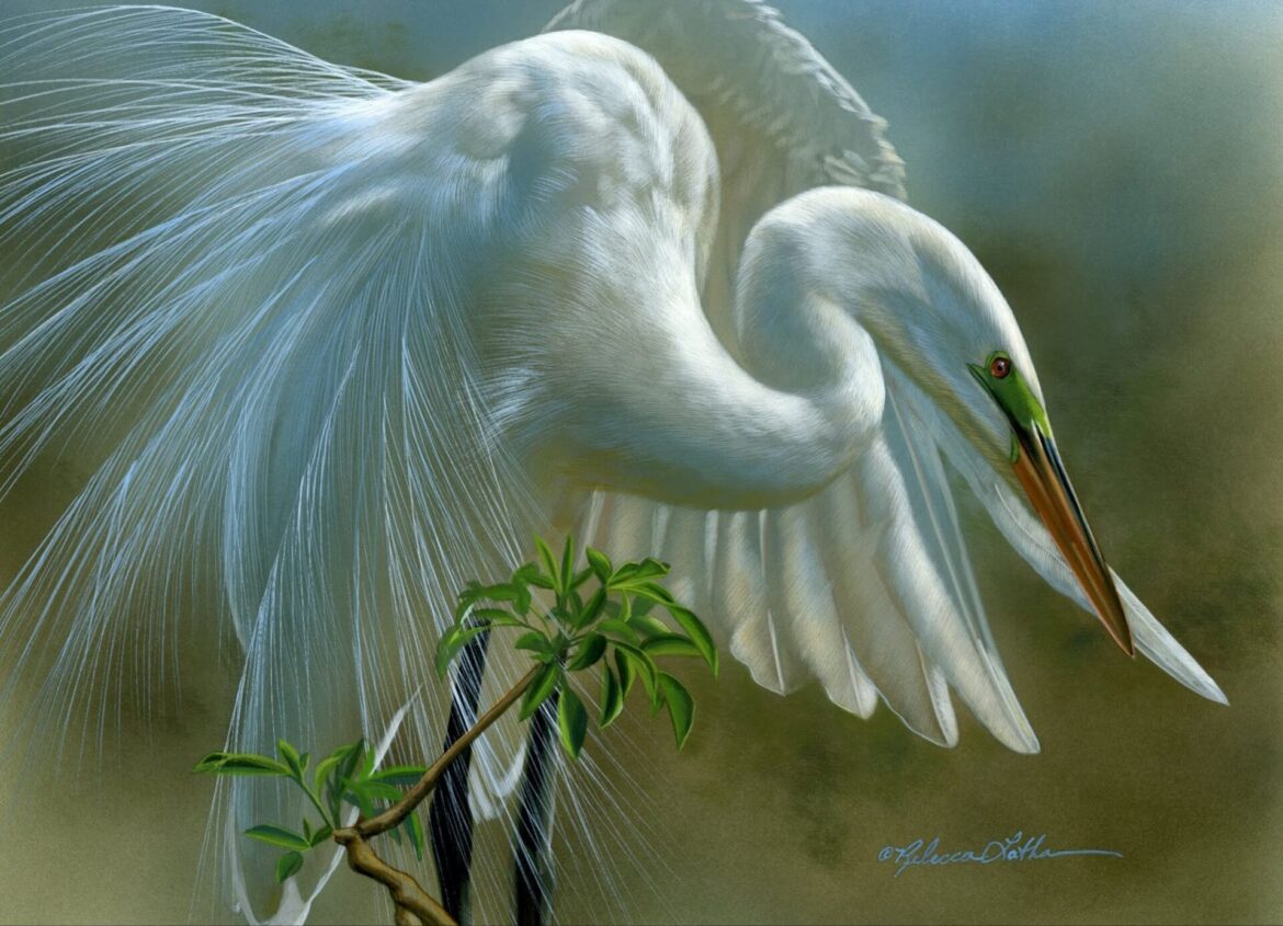 The Breathtaking Beauty of the Estuary in Southern Florida