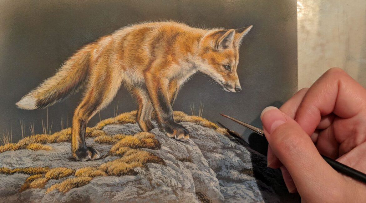 Red Fox Kit, Rebecca Latham, Opaque & transparent watercolor on museum board