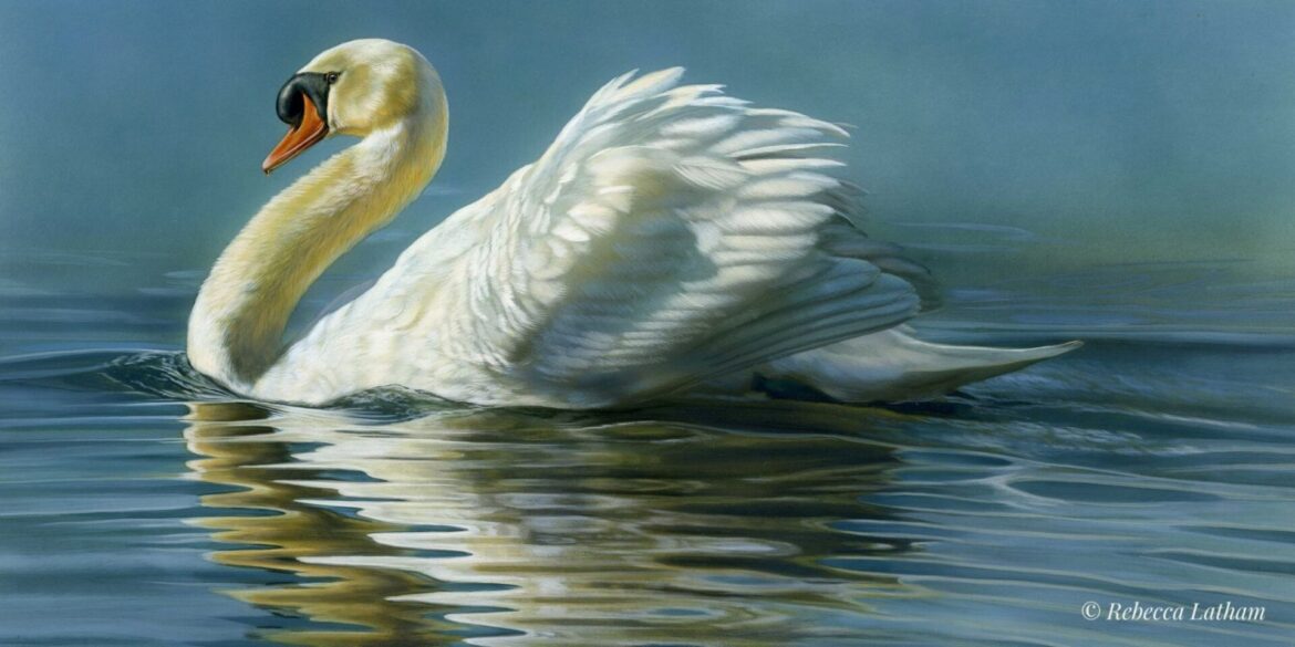 Love in the Wild: Art and Courtship